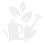 Gardening Workshops